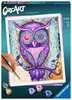 Dreaming Owl              FI/DA/SV/IS/NO Arts & Craft;CreArt - Ravensburger