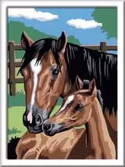 Foaling Around - image 2 - Click to Zoom