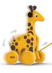Giraff - bild 3 - Klicka för att zooma